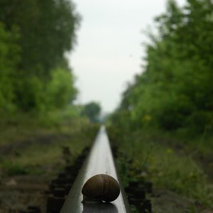 2005-przyroda thumbnail