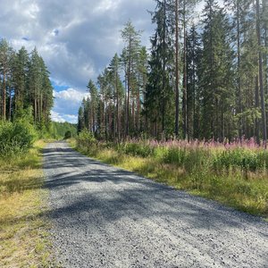 Wyjazd-dookola-Baltyku-2022 thumbnail